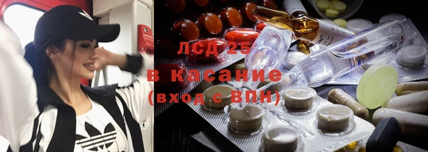 бошки Богородицк