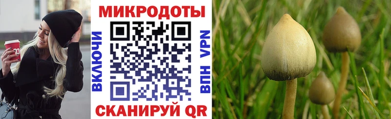 omg сайт Вытегра Псилоцибиновые грибы прущие грибы