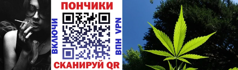 МЕГА зеркало  наркотики  Вытегра  Бошки марихуана VHQ 